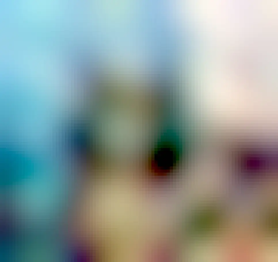 Shouty cat number one. A black and white cat looking at the camera with an intense expression and her ears turned back, which means something is not quite as she would like it.