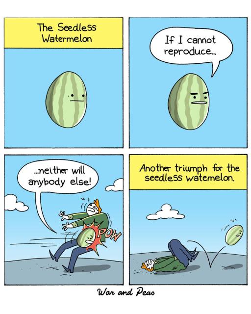 4-panel comic by War and Peas. Panel 1: A watermelon with a stern face floats in the middle of a blue background. The caption reads: "The Seedless Watermelon." Panel 2: The watermelon now has a serious expression and says, "If I cannot reproduce..." Panel 3: The watermelon launches itself groin-first at a human, shouting, "...neither will anybody else!" The person screams in pain as the watermelon hits them with a loud "POW" in the crotch. Panel 4: The watermelon bounces away victoriously as the person curls up on the ground. The caption above reads: "Another triumph for the seedless watermelon."