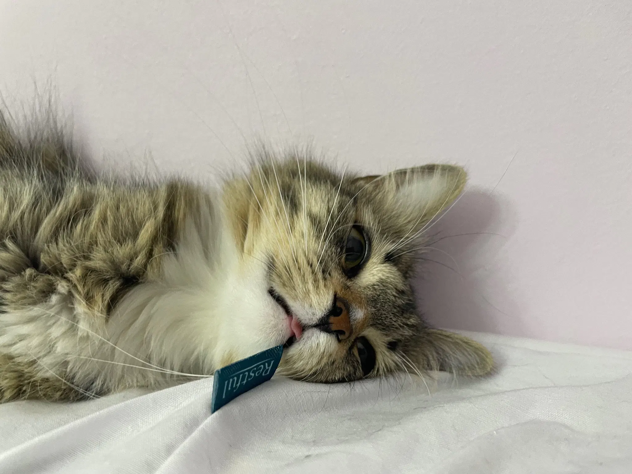 The closeup of the face, she's bleping 