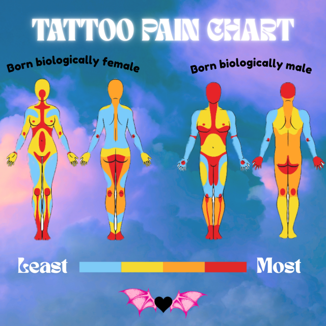 A tattoo pain chart  with models of female and male bodies, showing pain from least to most. Pain in females is near the belly button, upper thighs, and mouth. Males have pain on the side of their thighs and on their waist. Both have pain on nipples and near the crotch