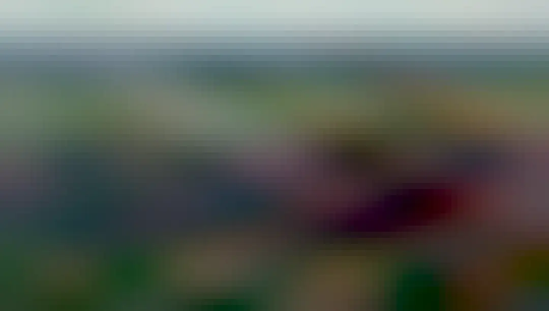 The David’s Echymipera is a tiny cute forest floor dwelling #marsupial scurrying through #PapuaNewGuinea's forests eating #insects. #Endangered by #deforestation and hunting, help them when you #Boycott4Wildlife @palmoildetect https://wp.me/pcFhgU-sE?utm_source=mastodon&utm_medium=Palm+Oil+Detectives&utm_campaign=publer 