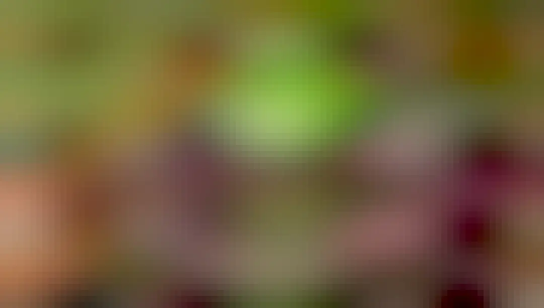 The David’s Echymipera is a tiny cute forest floor dwelling #marsupial scurrying through #PapuaNewGuinea's forests eating #insects. #Endangered by #deforestation and hunting, help them when you #Boycott4Wildlife @palmoildetect https://wp.me/pcFhgU-sE?utm_source=mastodon&utm_medium=Palm+Oil+Detectives&utm_campaign=publer 