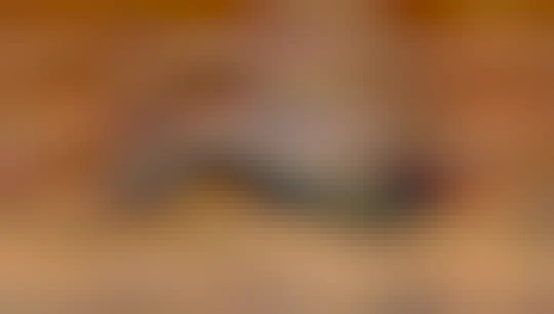 The David’s Echymipera is a tiny cute forest floor dwelling #marsupial scurrying through #PapuaNewGuinea's forests eating #insects. #Endangered by #deforestation and hunting, help them when you #Boycott4Wildlife @palmoildetect https://wp.me/pcFhgU-sE?utm_source=mastodon&utm_medium=Palm+Oil+Detectives&utm_campaign=publer 