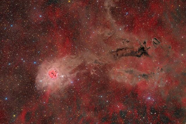 "IC 5146 - cocoon nebula."

Carsten Frenzl from Deutschland, CC BY 2.0, via Wikimedia Commons or Flickr: https://flic.kr/p/2qSUFtm