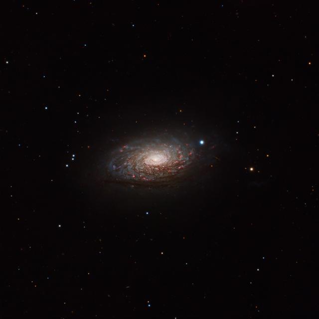 "M63 Sunflower Galaxy"

Shark13016, CC BY-SA 4.0, via Wikimedia Commons. Color edit.