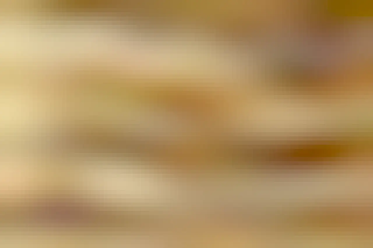 A very sleepy fennec fox. She s sleeping peacefully on the sand, curled into a croissant.