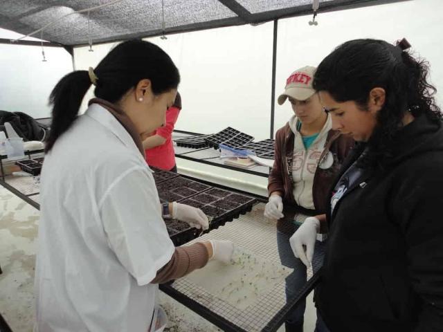 Three researchers (or four?) work together at an outdoor field station under a canopy tent. On the left, a person in a white lab coat with dark hair in a ponytail works over a white gridded surface. In the center, someone wearing a baseball cap and brown jacket observes, while on the right, a person with curly dark hair in a dark jacket also participates in the work. All are wearing white gloves.