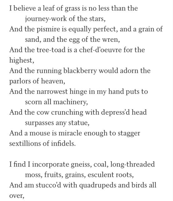 I believe a leaf of grass is no less than the journey-work of the stars,
And the pismire is equally perfect, and a grain of sand, and the egg of the wren,
And the tree-toad is a chef-d'oeuvre for the highest,
And the running blackberry would adorn the parlors of heaven,
And the narrowest hinge in my hand puts to scorn all machinery,
And the cow crunching with depress'd head surpasses any statue,
And a mouse is miracle enough to stagger sextillions of infidels.

I find I incorporate gneiss, coal, long-threaded moss, fruits, grains, esculent roots,
And am stucco'd with quadrupeds and birds all over,