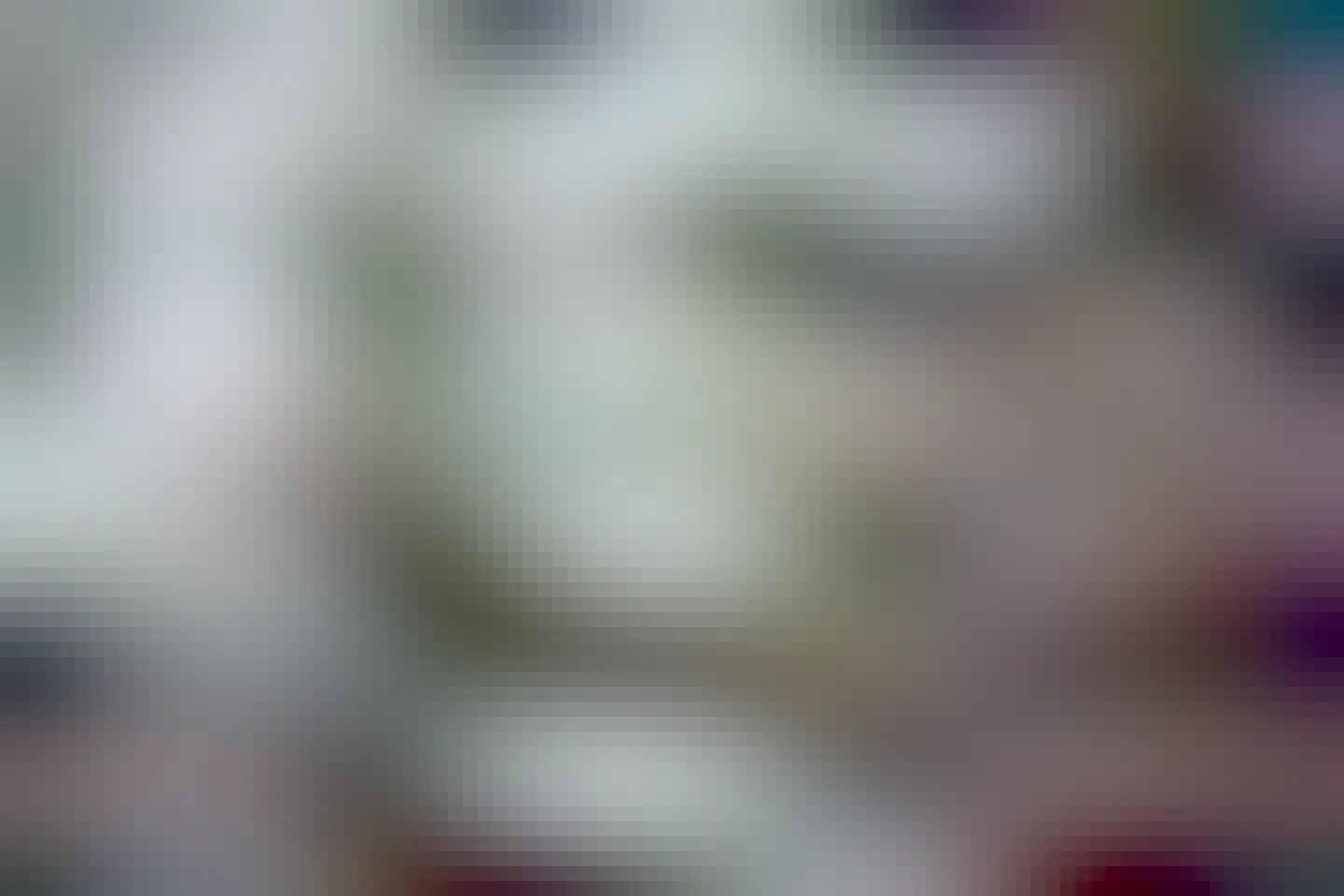 Photo by Caleb “bad flashes” Knueven on May 28, 2025. May be a black-and-white image of kitten and text.