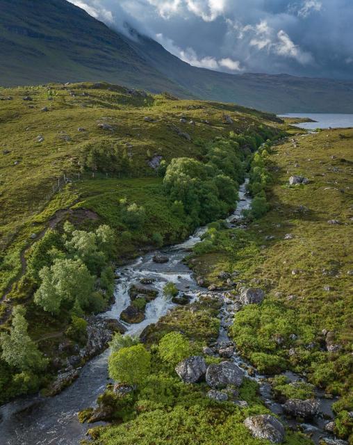 Waterfalls surrounded by trees and grassland.