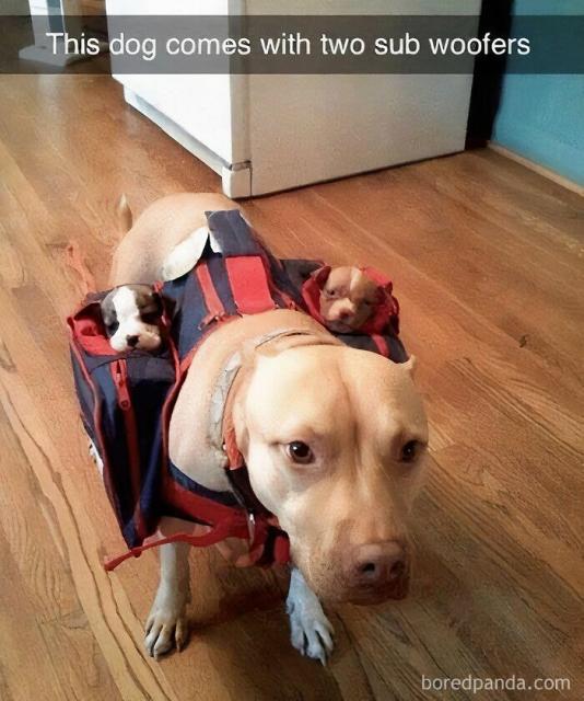 sub-woofers