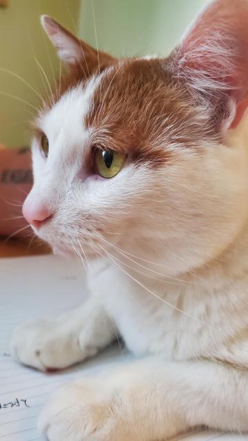 MY BEAUTIFUL BOY HIS NOSE PINK HIS EYES SHINING