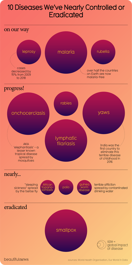 An infographic titled '10 Diseases We've Nearly Controlled or Eradicated' organized in four sections. At the top, 'on our way' shows leprosy (cases decreased by 15% from 2009 to 2018), malaria (over half the countries on Earth are now malaria-free), and rubella. The 'progress!' section includes onchocerciasis (described as 'elephantiasis' - a tropical disease spread by mosquitoes), rabies, lymphatic filariasis, and yaws (with a note that India eliminated this childhood disease in 2016). The 'nearly...' section lists African trypanosomiasis ('sleeping sickness' spread by the tsetse fly), polio, and guinea worm disease (described as a terrible affliction spread by contaminated drinking water). Finally, 'eradicated' shows only smallpox. Purple circles of varying sizes represent each disease, with size indicating global impact. Source: World Health Organisation, Our World in Data, via beautifulnews