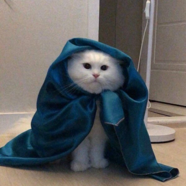 A white cat wrapped in a blue satin blanket.