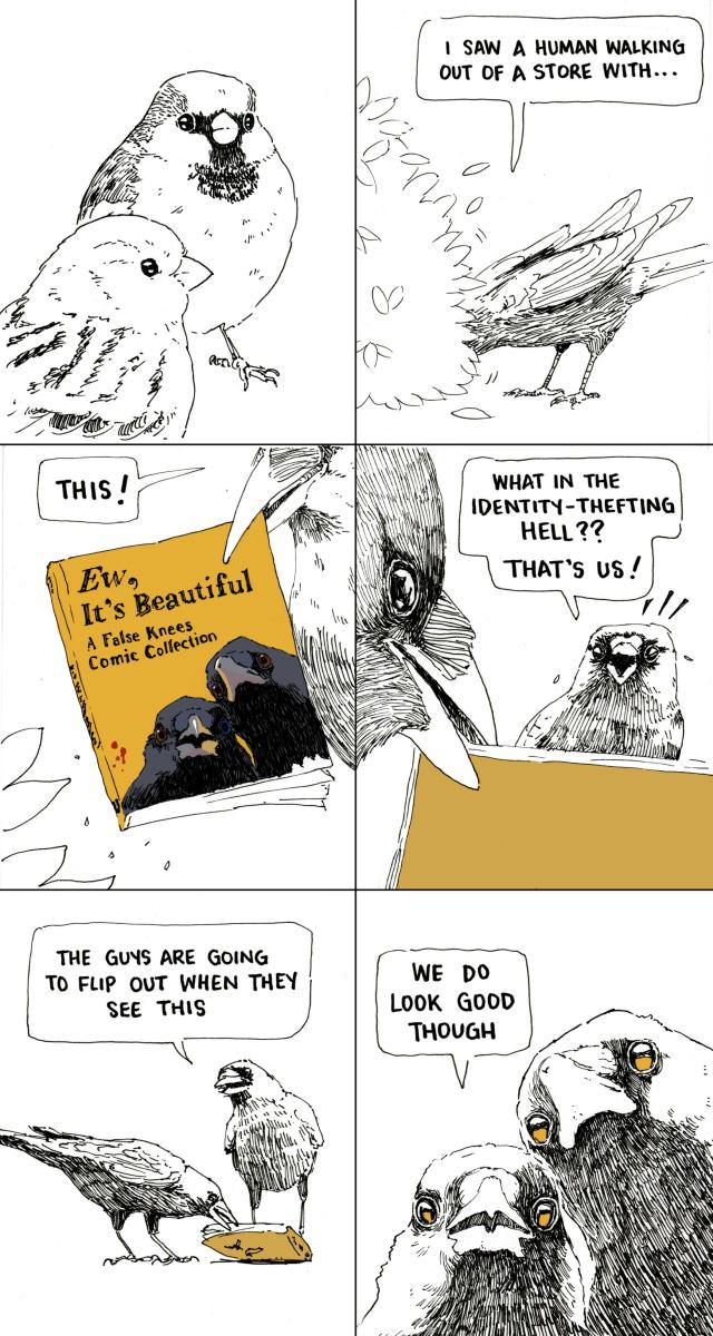 We focus on the silent, unresponsive pair of sparrows. While digging through the shrub, Al continues: "I saw a human walking out of a store with... THIS!" pulling a tattered and bloodied copy of "Ew, It's Beautiful: A False Knees Comic Collection" from the leaves. The cover has a drawing of two crows staring at the reader. Fred exclaims "What in the identity-thefting hell?? That's US! The guys are going to flip out when they see this". Both crows are now looking down at the book, mirroring the image on the cover. "We do look good though" states Al.