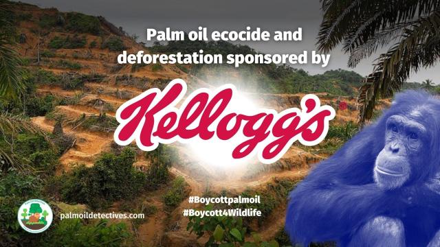 #Kelloggs/Kellanova uses so-called "sustainable" #palmoil yet still causes #deforestation and child slavery for #palmoil in their child-friendly #cereal 🥣 Fight back when you #Boycottpalmoil #Boycott4Wildlife @palmoildetect.bsky.social 🌴⛔️🧐🔥 https://palmoildetectives.com/2021/02/09/kelloggs/?utm_source=mastodon&utm_medium=Palm+Oil+Detectives&utm_campaign=publer