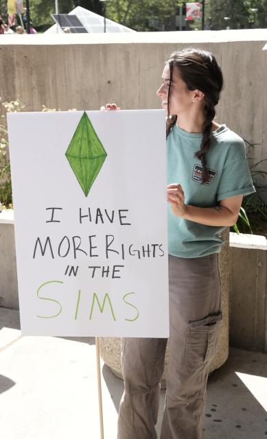 I have more rights in the sims