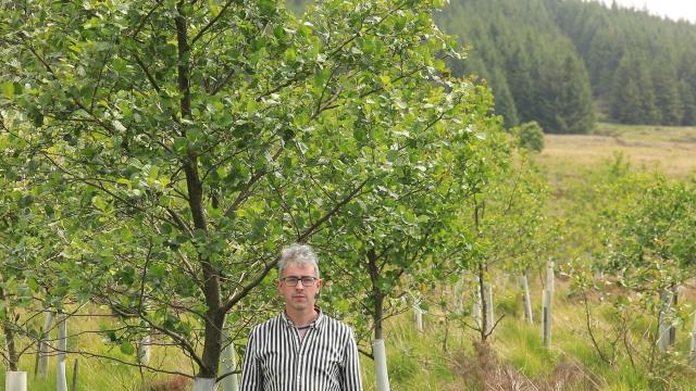 A male-presenting person in a striped black and white shirt with grey hair stands beside a young tree that stretches out of frame. The tree is very leafy, and is easily twice the height of the person.