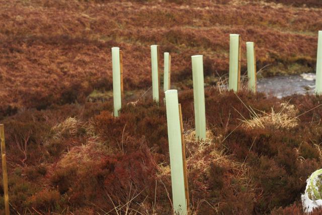 A cluster of deer guard tubes in a brown moorland landscape.