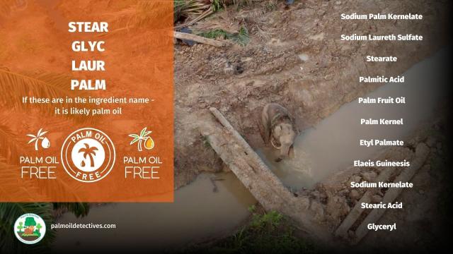 Don't use #palmoil in your #hair - it destroys #rainforests all over the world. Boycott #Unilever, Johnson and Johnson #Loreal because they're worth it, worth avoiding! Buy #palmoilfree #shampoo🫧🪮🧴 #BoycottPalmOil #Boycott4Wildlife @palmoildetect.bsky.social https://palmoildetectives.com/2021/02/11/palm-oil-free-haircare/?utm_source=mastodon&utm_medium=Palm+Oil+Detectives&utm_campaign=publer