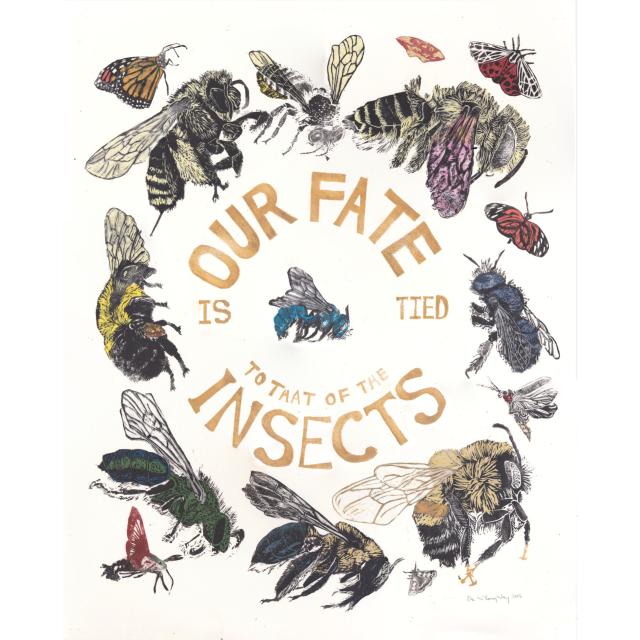 As described this 16” x 20” linocut print combines gold text in a central circle reading “OUR FATE” arching upwards, “IS TIED” horizontally across the middle, “TO THAT OF THE INSECTS” arching downwards in two lines with insects. 
 Clockwise from top: two leaf cutter bees (Megachile relativa and M. brevis), the Imperial moth (Eacles imperialis), the Virgin Tiger moth (Apantesis virgo), an Isabella’s Longwings butterfly (Nymphalidae Eueides isabella), a blue orchard mason bee (Osmia lignaria), a firefly (Photinus pyralis), the rusty patched bumblebee (Bombus affinis), a white underwing moth (Catocala relicta), an eastern carpenter bee (Xylocopa virginica), a sweat bee (Agapostemon sericeus), a hummingbird clearwing moth (Hermaris thysbe), the common eastern bumblebee (B. impatiens), a long-horned bee (Melissodes sp.), a monarch butterfly (Danaus plexippus) and centre:  eastern snail-shell nesting bee (O. conjuncta).