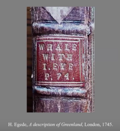 Spine of a leatherbound book with a typical gilt-stamped spine label reading Whale with 1 Eye, p. 74.