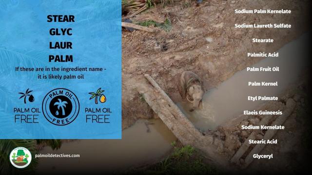 Protect yourself from the #sun 🌞⛱️🌻 while protecting 1000's of #animals 🦧🦜🪲🦏🐘 from #palmoil #ecocide. Reject #beauty brands like #Loreal and Avon and find #PalmOilFree #Sunscreen. Fight back now! #BoycottPalmOil #Boycott4Wildlife @palmoildetect.bsky.social https://palmoildetectives.com/2021/09/18/palm-oil-free-sunscreens/?utm_source=mastodon&utm_medium=Palm+Oil+Detectives&utm_campaign=publer