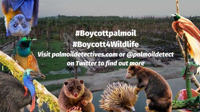 Protect yourself from the #sun 🌞⛱️🌻 while protecting 1000's of #animals 🦧🦜🪲🦏🐘 from #palmoil #ecocide. Reject #beauty brands like #Loreal and Avon and find #PalmOilFree #Sunscreen. Fight back now! #BoycottPalmOil #Boycott4Wildlife @palmoildetect.bsky.social https://palmoildetectives.com/2021/09/18/palm-oil-free-sunscreens/?utm_source=mastodon&utm_medium=Palm+Oil+Detectives&utm_campaign=publer
