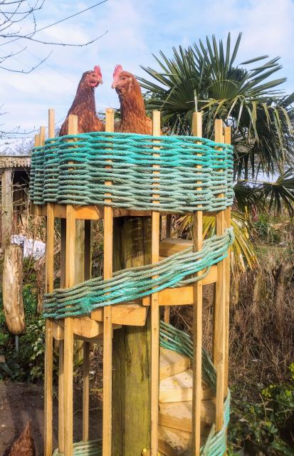Two red hens guarding their tower of power in my garden.

The tower is constructed as a spiral staircase around a circular pole, with a platform on top. The platform is protected with a woven blue rope surround, which also runs around the edge of the stairs.

They are most definitely watching me.