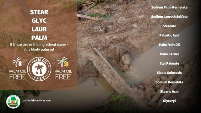 Do you know what the worst taste is? It's the revolting taste of rainforests being destroyed for #palmoil in #chocolate and #candy made by #Nestle #Mondelez #Ferrero. Make sure you #BoycottPalmOil 🌴🩸🚜🔥🙈☠️🚫 #Boycott4Wildlife https://palmoildetectives.com/2021/02/11/palm-oil-free-chocolate-and-confectionery/?utm_source=mastodon&utm_medium=Palm+Oil+Detectives&utm_campaign=publer 