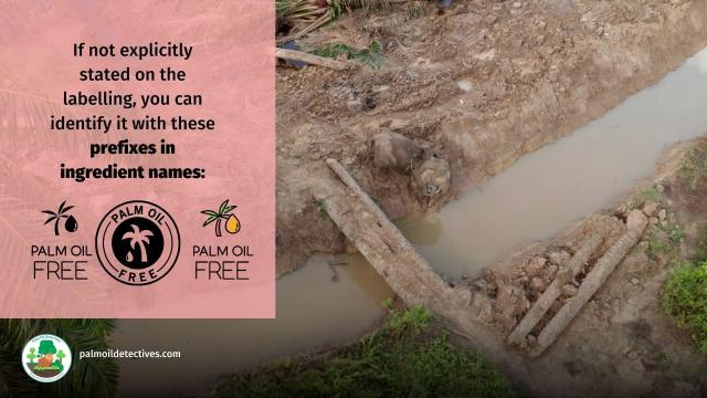 Want to be beautiful inside and out? Make sure you boycott ugly brands like #Unilever #Revlon and #Maybelline #MAC that use #palmoil in their #makeup. Search for #PalmOilFree brands now ⏬ and #BoycottPalmOil 🌴🩸🤮☠️🙈⛔️#Boycott4Wildlife @palmoildetect.bsky.social https://palmoildetectives.com/2021/02/11/palm-oil-free-makeup-and-cosmetics/?utm_source=mastodon&utm_medium=Palm+Oil+Detectives&utm_campaign=publer