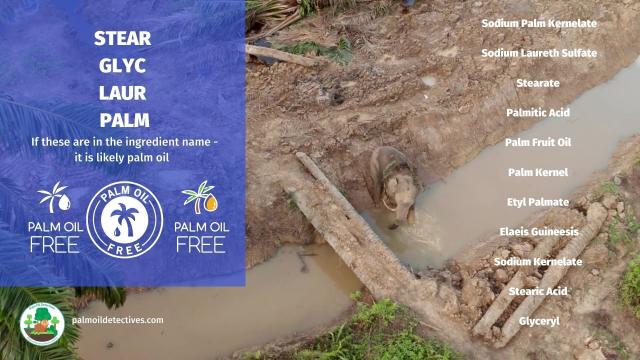 Major #brands making #cleaning products 🧹🧼🫧 #Palmolive #Reckitt #Unilever #PZCussons and others tell lies and destroy rainforests. Don't buy the #greenwash of "sustainable" #palmoil 🌴🤮💀☠️❌ Instead shop #palmoilfree #Boycott4Wildlife @palmoildetect.bsky.social https://palmoildetectives.com/2021/02/11/palm-oil-free-cleaning-products/?utm_source=mastodon&utm_medium=Palm+Oil+Detectives&utm_campaign=publer