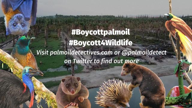Major #brands making #cleaning products 🧹🧼🫧 #Palmolive #Reckitt #Unilever #PZCussons and others tell lies and destroy rainforests. Don't buy the #greenwash of "sustainable" #palmoil 🌴🤮💀☠️❌ Instead shop #palmoilfree #Boycott4Wildlife @palmoildetect.bsky.social https://palmoildetectives.com/2021/02/11/palm-oil-free-cleaning-products/?utm_source=mastodon&utm_medium=Palm+Oil+Detectives&utm_campaign=publer