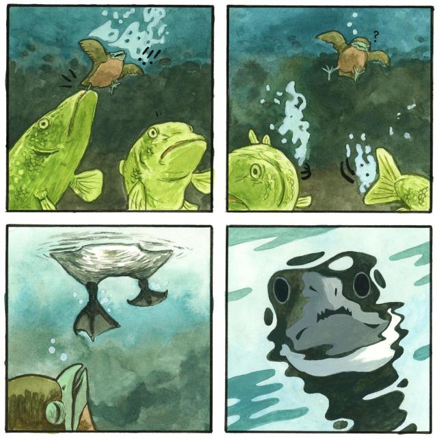 One of the two fish tugs at a distressed Fledgling's leg, while the other one shows surprise as if it sees something. The fish flee, leaving a perplexed chick. She looks on to see the webbed feet of a beast arriving on the surface of the water. A water-distorted Canada goose peers down at her.