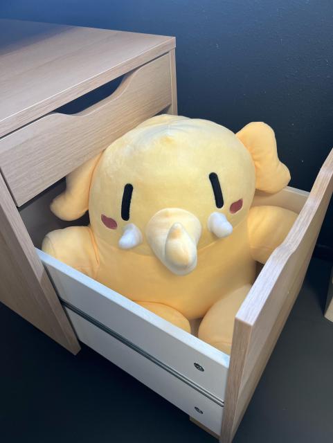 A mastodon plushie sitting inside a desk drawer, looking snug