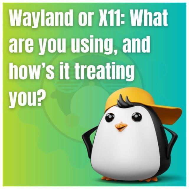 Wayland or X11: What are you using, and how's it treating you?