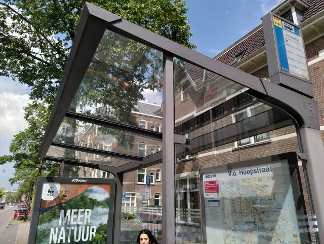 A bus shelter in Amsterdam. The shelter is made from toughened glass and offers no shade. The text on the time table reads V D Hoopstraat.

There are trees and brick buildings in the background. 