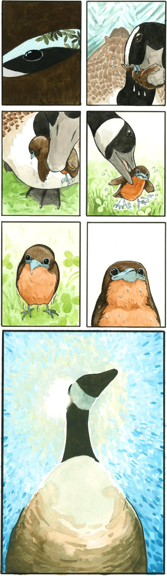 Through Fledgling's half-opened eyes, we see the side of the goose's head with tree leaves above. The little chick comes to and panics as she realizes she is in the beak of a goose. She goes limp, dripping wet, as the goose steps onto the grassy shore. The goose sets Fledgling down, who is frantically flailing her feet. She sits, observing her surroundings, soaked. She looks up... and sees a heroic sight, the saviour goose, backlit in sunlight, has taken on an angelic appearance.