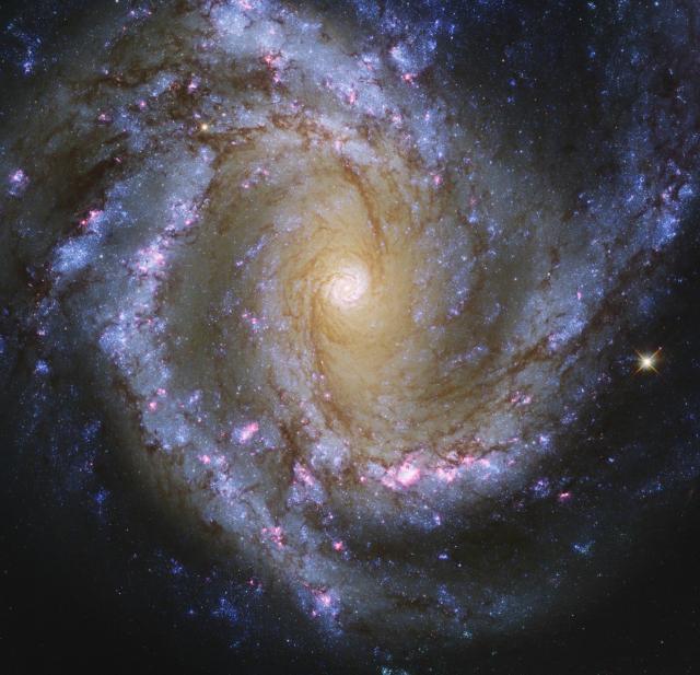 "NGC 4303 3 Color + Ha."

geckzilla, CC BY 4.0, via Wikimedia Commons.

