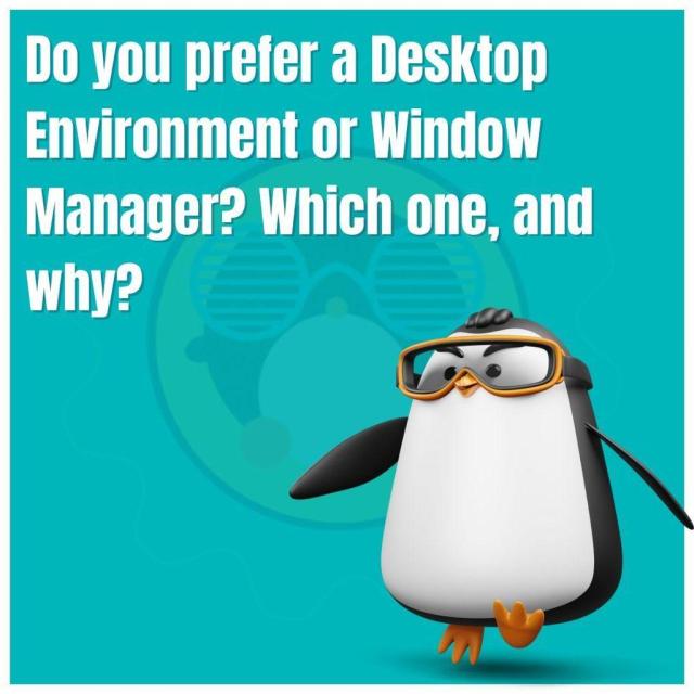 Do you prefer a Desktop Environment or Window Manager? Which one, and why?