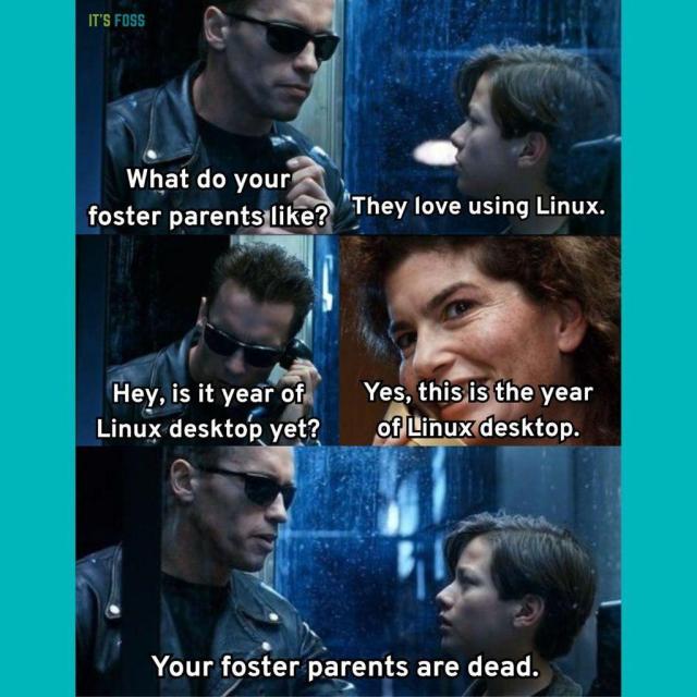 There are six parts to this meme.

In the first one, the Terminator asks a boy, "What do your foster parents like?"

The boy replies, "They love using Linux."

Then, the Terminator calls up the boy's parents and asks them, "Hey, is it year of the Linux desktop yet?"

To which, the so-called parent replies, "Yes, this is the year of Linux desktop."

In the last slide, the Terminator is seen telling the boy, "Your foster parents are dead."