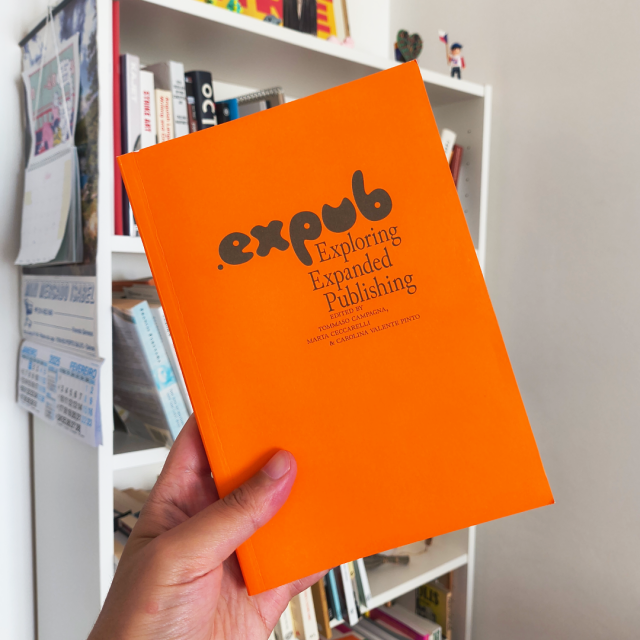 Cover of the book .expub