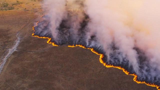 Humans can learn to develop a 'slow memory' to understand the slow-moving but real threat of #animal #extinction. Fight back against extinction, be #Vegan 🍉🍎🧄🥦 and #BoycottPalmOil 🌴🩸💀🙊🧐⛔️ #Boycott4Wildlife in the supermarket @palmoildetect https://palmoildetectives.com/2023/11/19/climate-and-extinction-crises-move-too-slowly-for-us-to-pay-attention-heres-the-answer/?utm_source=mastodon&utm_medium=Palm+Oil+Detectives&utm_campaign=publer