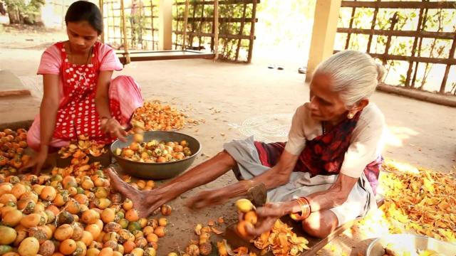 #Palmoil cultivation in #India's 🇮🇳🪷 north east is devastating natural #ecology with increased human-animal conflicts and #ecocide leaving people, forests and animals at risk #Boycottpalmoil #Boycott4Wildlife 🌴🪔🩸🧐🙊⛔️ @palmoildetect https://palmoildetectives.com/2023/06/07/indias-palm-oil-push-leaves-northeast-indian-farmers-forests-and-animals-at-risk/?utm_source=mastodon&utm_medium=Palm+Oil+Detectives&utm_campaign=publer