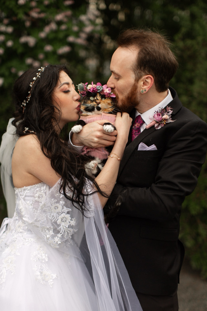 Koi being kissed by her pawrents in a wedding picture 