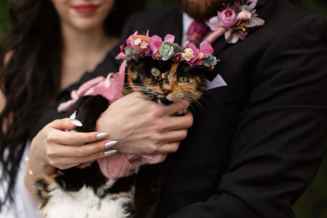 Koi being a cutie while wearing her flower crown