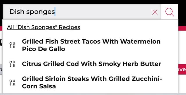 Search box on the website doesn’t have any product results for dish sponges but it would like to offer me some dish sponge recipes.