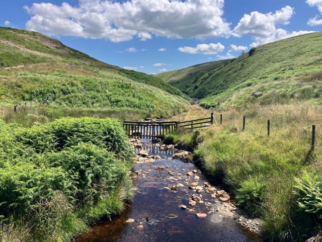 Landscape photo of an upland river meandering between green, bracken covered slopes. The dark brown, peaty water flows gently over rocks. A fence line runs along beside the river on the right, then crosses it with a wooden water gate (to allow water through but not livestock and continuing to the left. The sky is blue with fluffy white clouds.