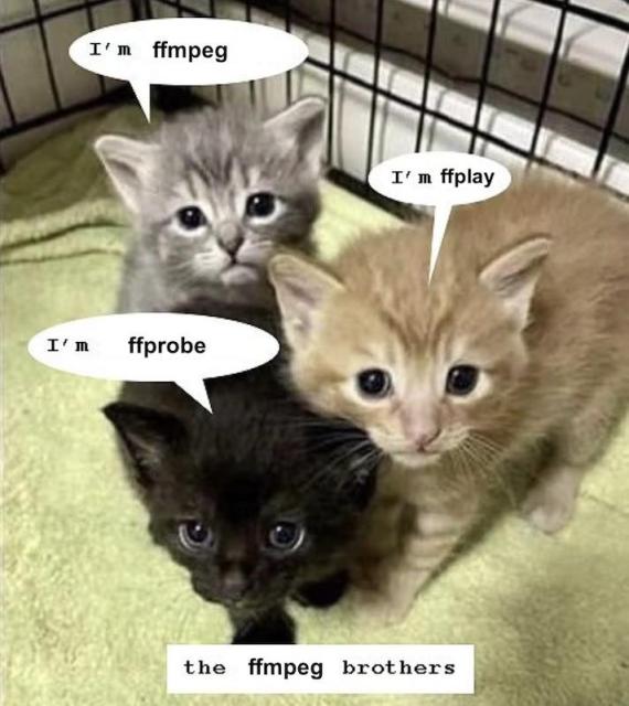 photo of three small kittens, grey, orange, and black  with three speech bubbles reading "I'm ffmpeg", "i'm ffplay" and "i'm ffprobe" respectively. at the bottom the caption reads "the ffmpeg brothers"