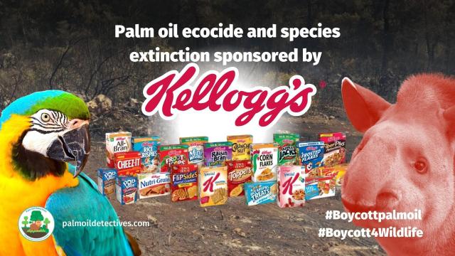 #Kelloggs/Kellanova uses so-called "sustainable" #palmoil yet still causes #deforestation and child slavery for #palmoil in their child-friendly #cereal 🥣 Fight back when you #Boycottpalmoil #Boycott4Wildlife @palmoildetect.bsky.social 🌴⛔️🧐🔥 https://palmoildetectives.com/2021/02/09/kelloggs/?utm_source=mastodon&utm_medium=Palm+Oil+Detectives&utm_campaign=publer